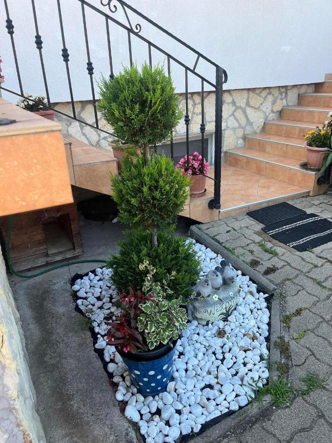 Rege Apartman 2 Alsóörs المظهر الخارجي الصورة
